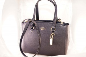 COACH LLG XgnUpdtStatn26LI/ NAV