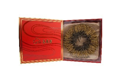 林芝冬蟲夏草 3000頭 二兩裝