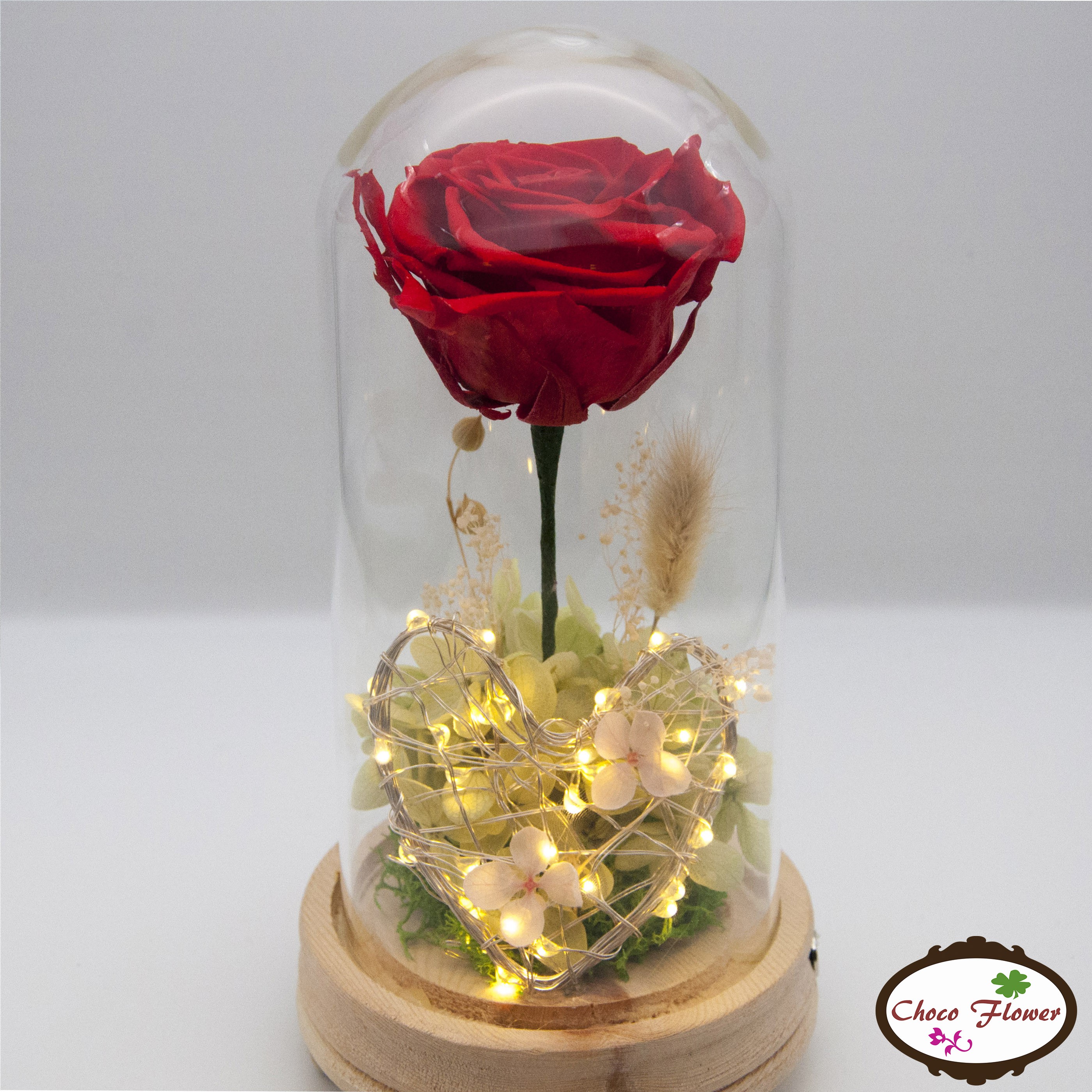 Preserved Flower Lamps