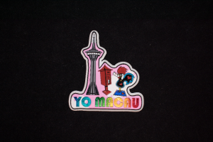 Soft Magnet