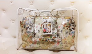 Vintage Style Power Bank Design Bag - Transparent